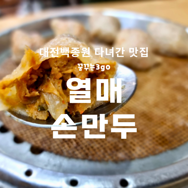 노은동 열매 손 만두 분식 백종원이 다녀간 대전맛집!
