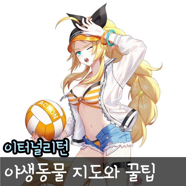  이터널리턴 야생동물 위치 공략
