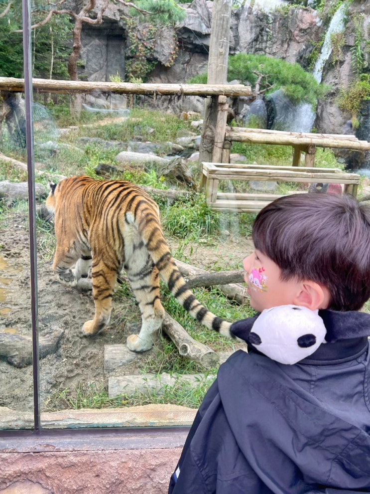  용인 에버랜드 동물원 주토피아 아이와 함께 즐기기