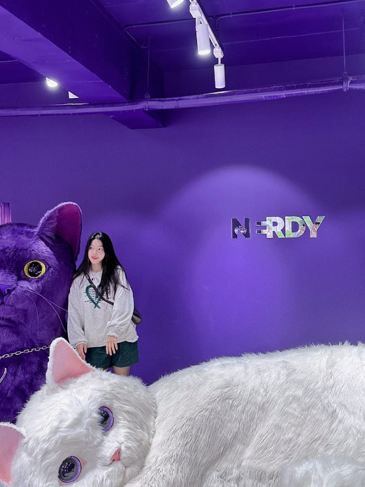 홍대냅다엎어치기 - 널디플래그쉽스토어/캔디포토/티져트/절단네컷