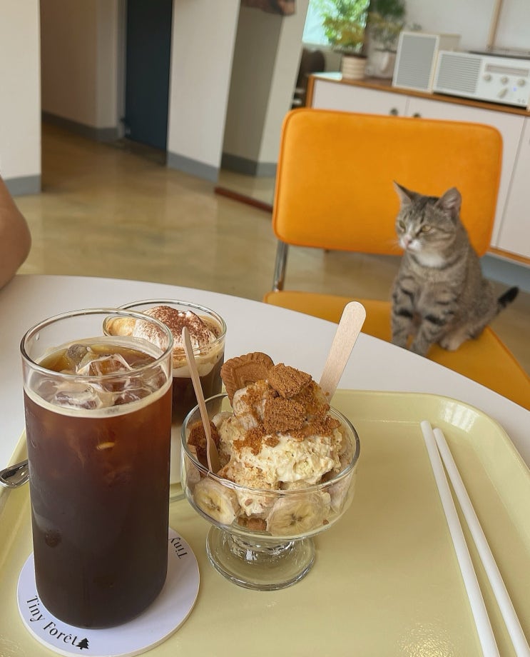  예산 카페: 티니포렛 - 또또또간집 윤봉길의사생가 카페(애견동반 가능 멍푸치노)