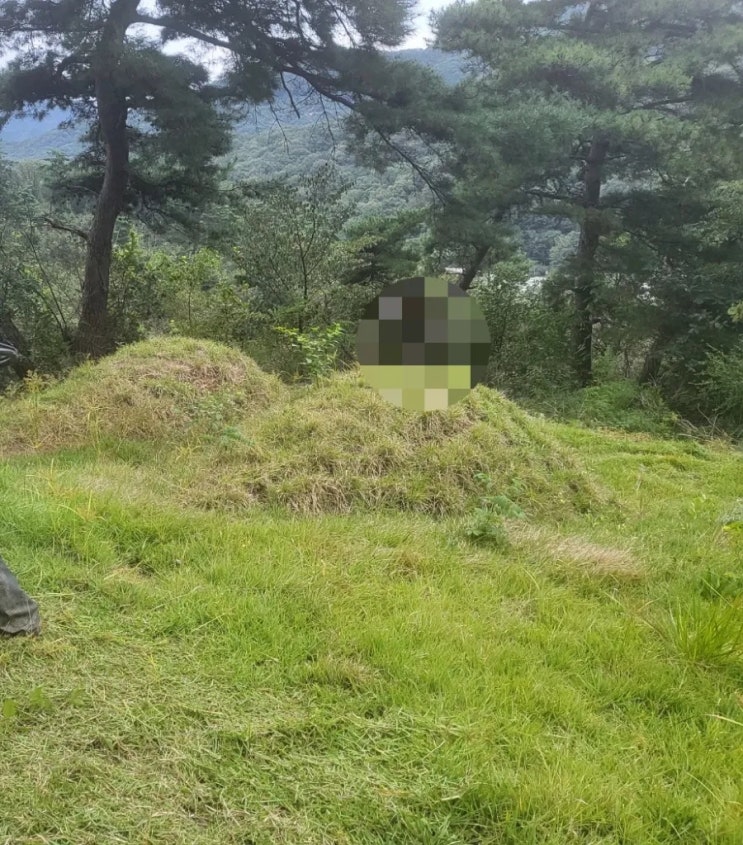  2023년 경북 김천시 남면 부상리 산 산소 2기 벌초 고인돌장의사 #선산벌초 #구미벌초 #황간벌초 #영동벌초 #성주벌초 #상주벌초 #문경벌초 선산 구미 황간 영동 성주 상주 문경