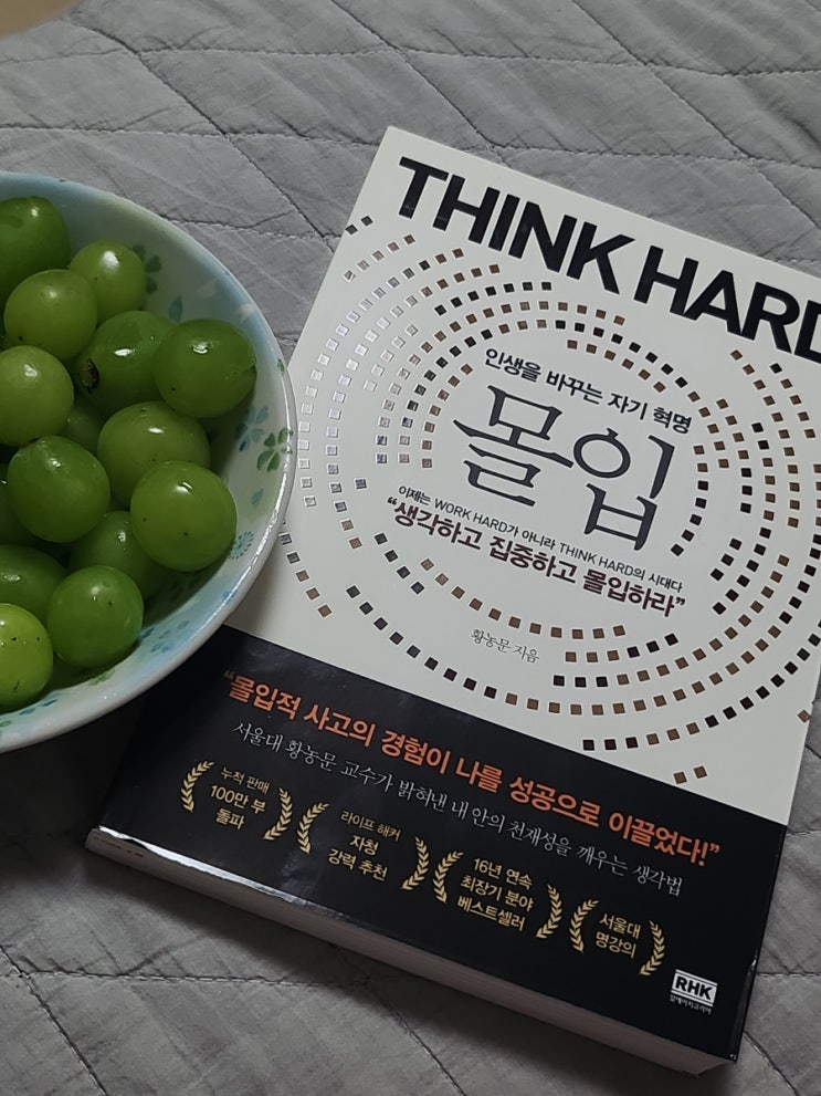  몰입 읽으면서 독서 습관 다시 만들기