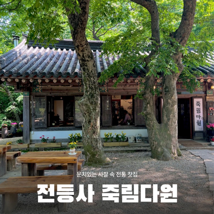 서울 근교 부모님 모시고 가기 좋은 곳 강화도 전등사 카페 죽림다원