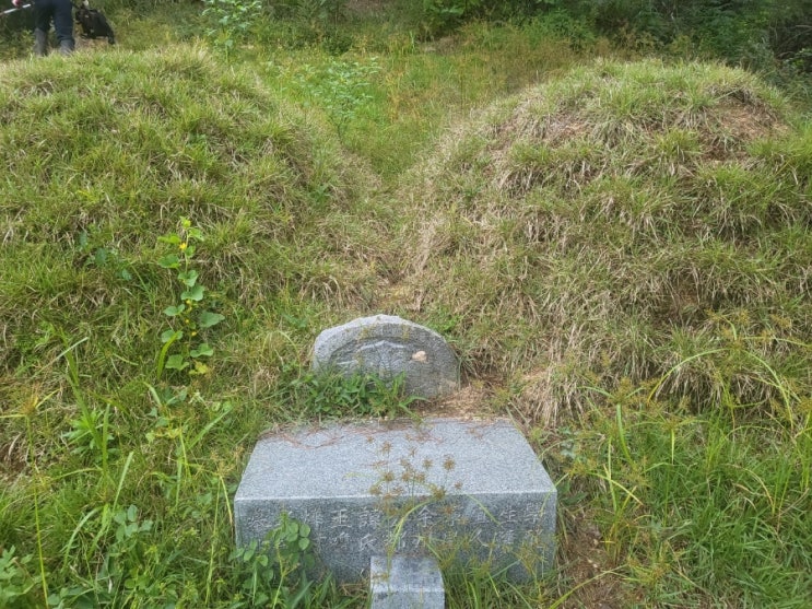  2023년 경북 김천시 남면 부상리 산 산소 2기 벌초 고인돌장묘개발장의사 #선산벌초 #구미벌초 #황간벌초 #영동벌초 #성주벌초 #상주벌초 #문경벌초 #칠곡벌초