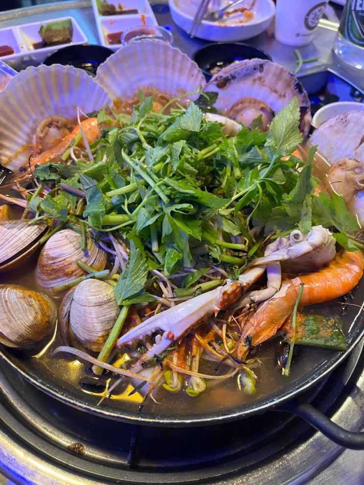 [부산사람의 해운대 1박2일] 황금조개구이 | 퍼지네이블 | 해운대원조할매국밥