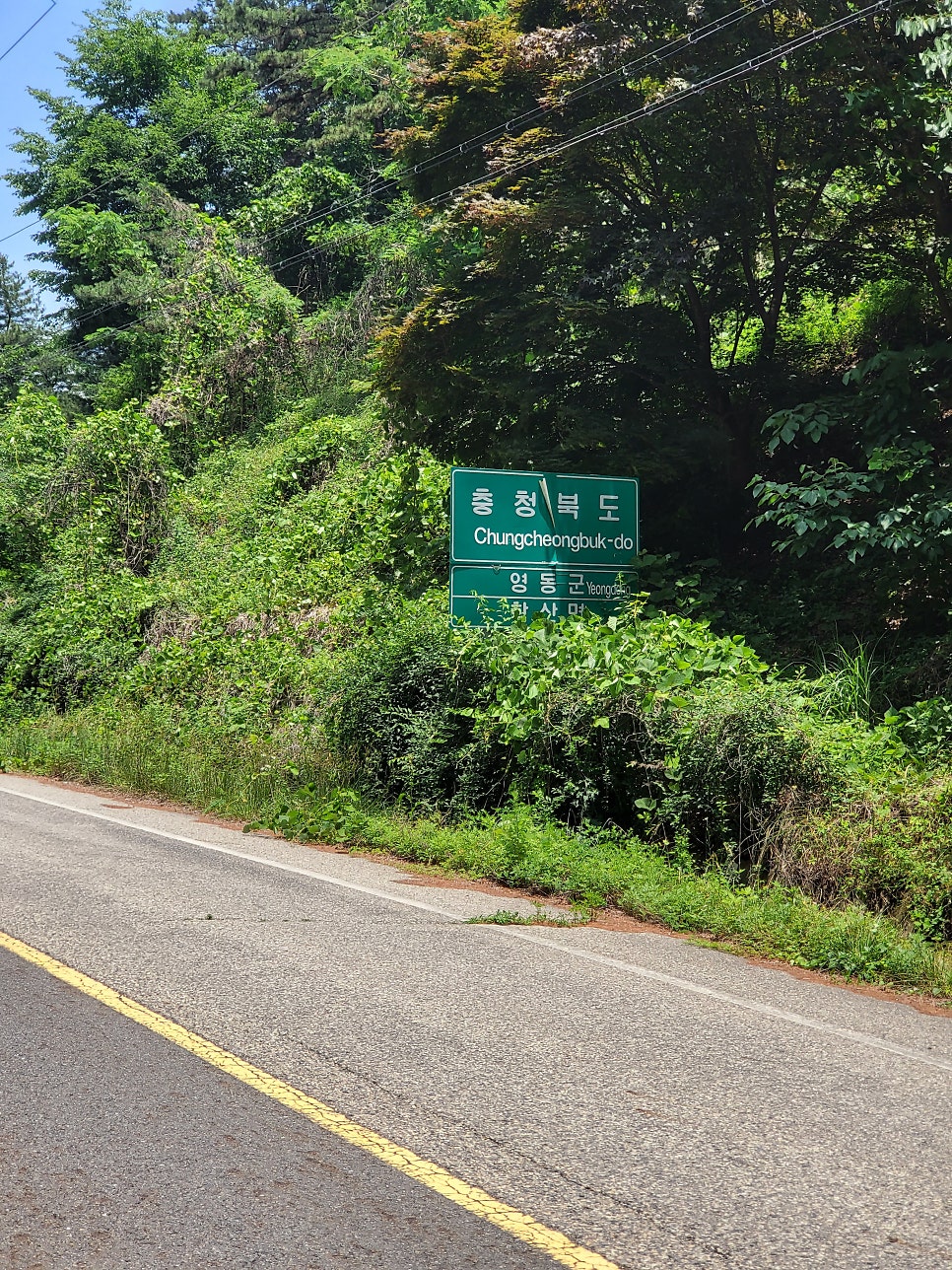 무주그린모텔 사진 4
