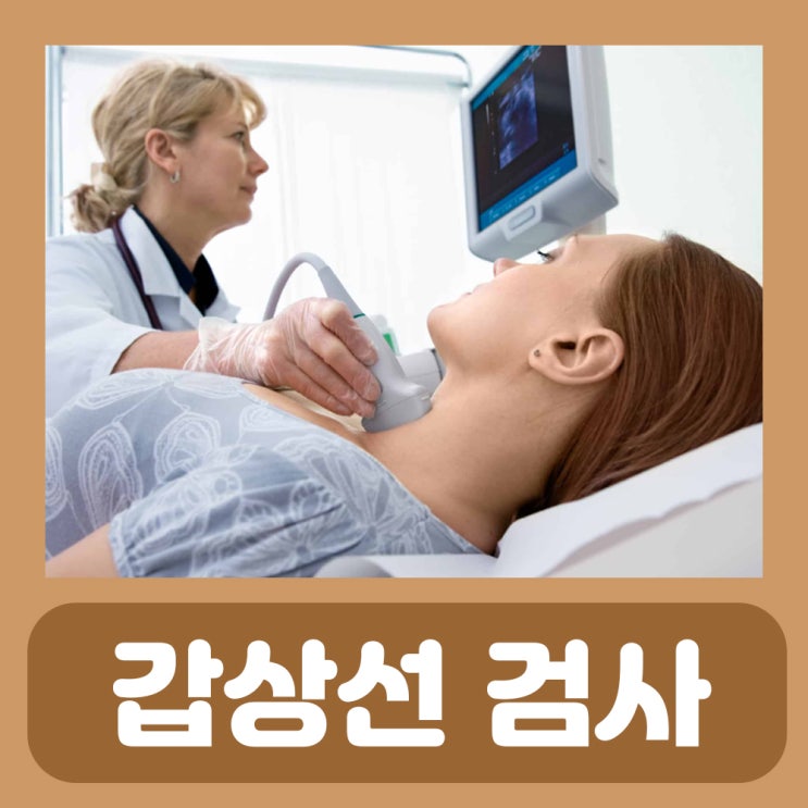  갑상선 물혹 제거 낭종 초음파 검사 부음