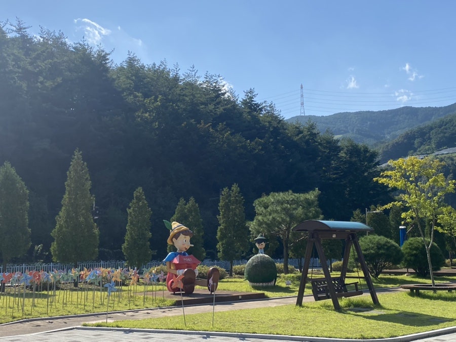 피노키오 사진 5