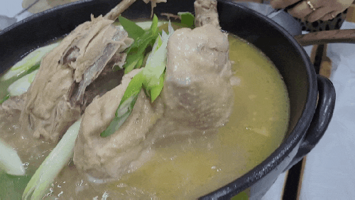  속초 노학동 토종닭 백숙 맛집 '가보오 토종닭' 내돈내산 현지인 추천