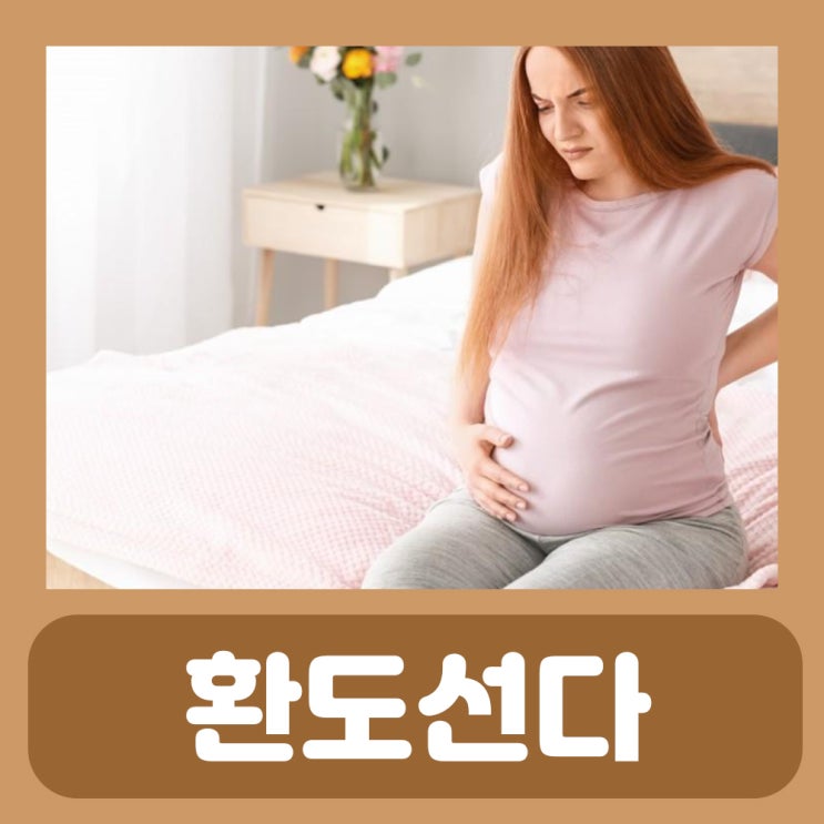  임산부 환도선다 증상 엉치뼈 꼬리뼈 엉덩이 통증 꼬리뼈가 아픈이유