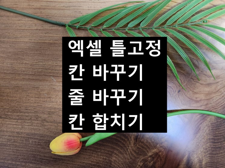  엑셀 틀고정 칸 나누기 칸 합치기 줄 바꾸기 칸 늘리기 20초 만에 쉽하기!