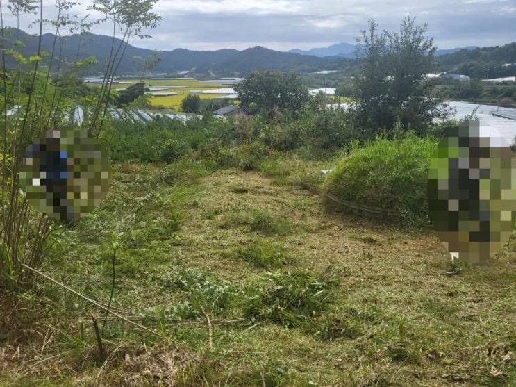  2023년 경북 김천시 어모면 다남리 대형 산소 1기 벌초 고인돌장묘개발장의사 선산 구미 황간 영동 성주 상주 문경 칠곡