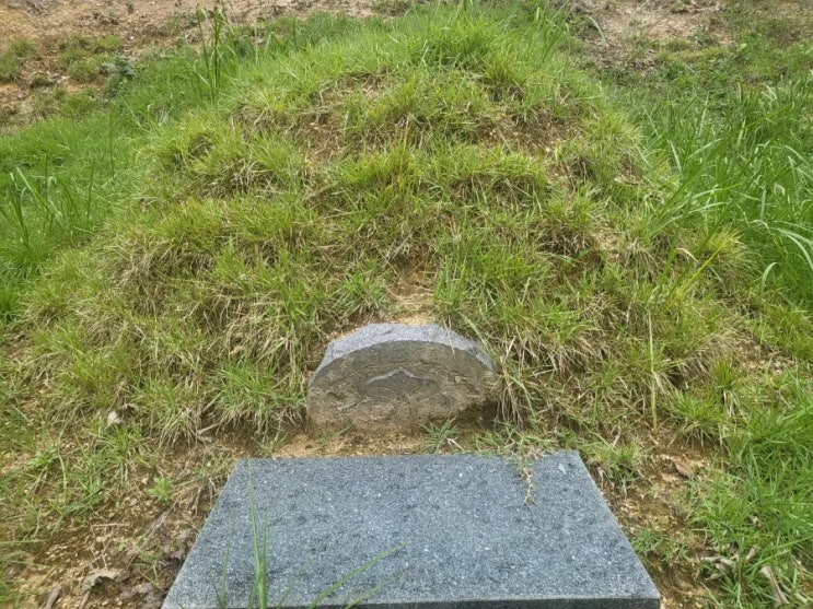  2023년 경북 김천시 남면 부상리 산 산소 2기 벌초 고인돌장묘개발장의사 #선산벌초 #구미벌초 #황간벌초 #영동벌초 #성주벌초 #상주벌초 #문경벌초 #칠곡벌초 선산 구미 상주