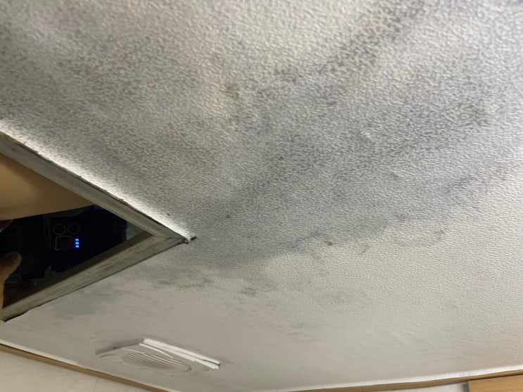 화성 아파트 화장실 방수, 천장에 곰팡이가 생긴 이유는?
