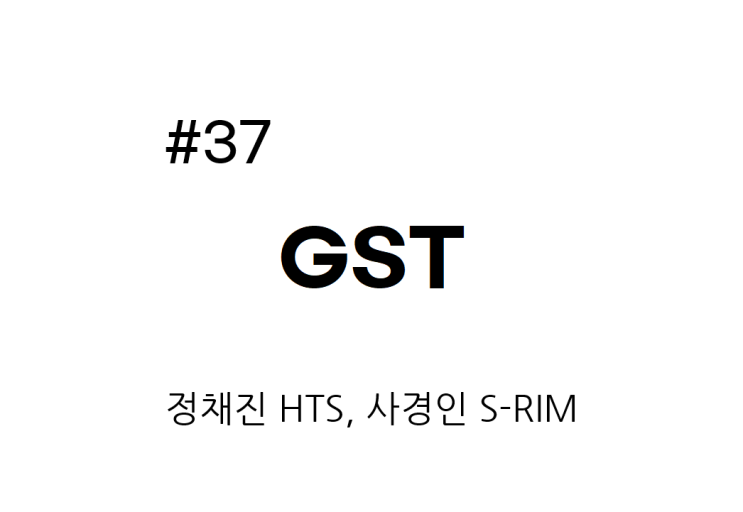  [종목공부] GST 주가, IT HW, 반도체 및 관련장비 [재무데이터, S-RIM]