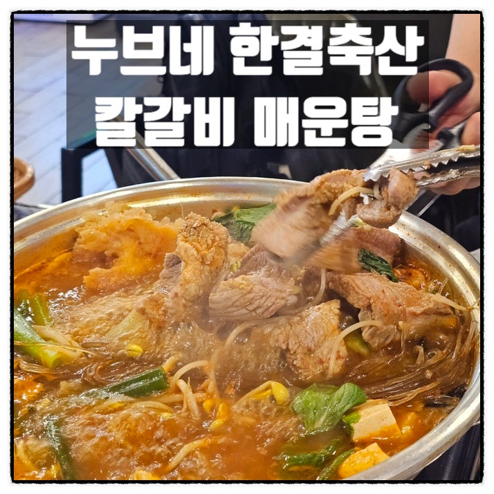  대전갈마동맛집 누브네 한결축산 칼갈비매운탕 대전점심맛집 리뷰
