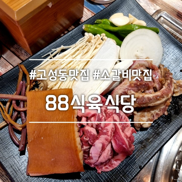  대구 고성동맛집] 88식육식당 || 북구청 소갈비 뒷고기가 맛있는 고깃집 (+ 돼지껍데기)