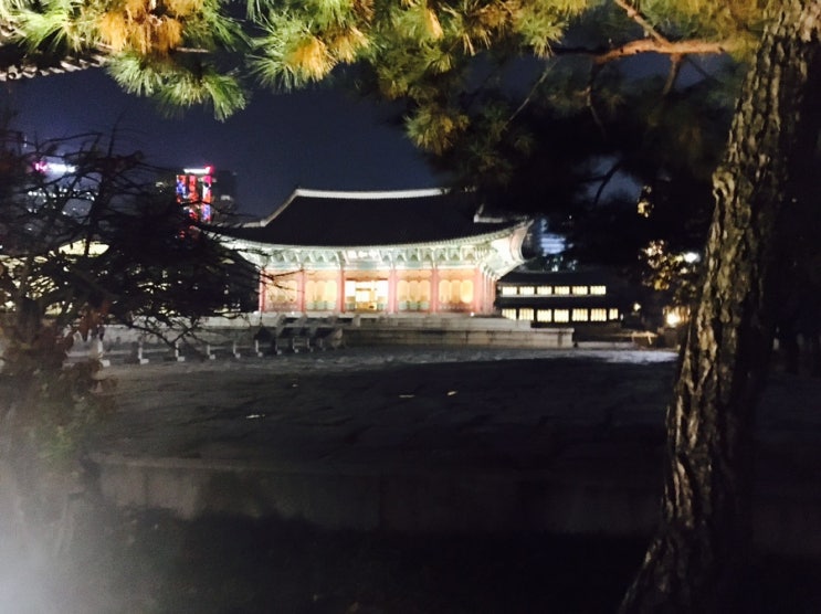 서울여행 20161113 [덕수궁] 야간기행
