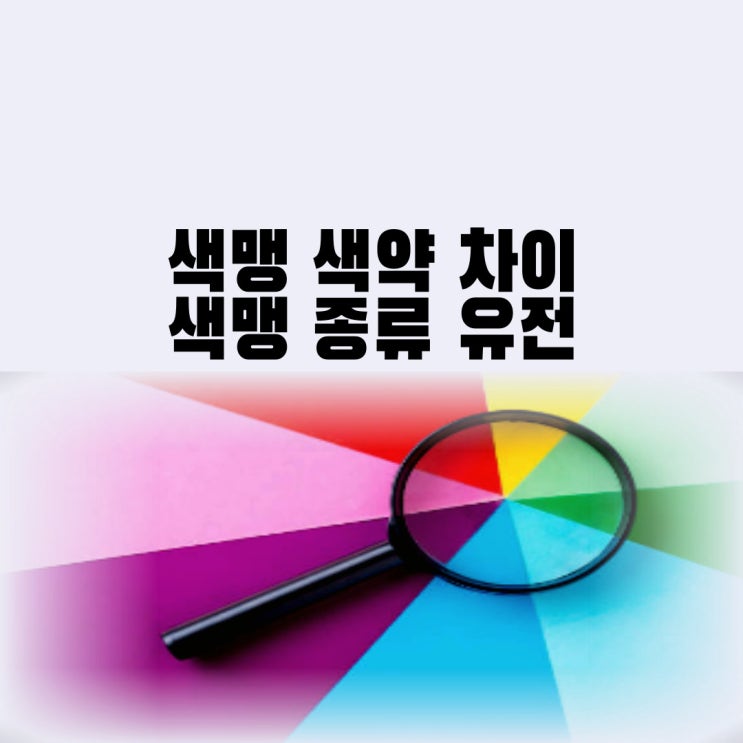  색맹 색약 차이 색맹 종류 유전 색각이상(치료)