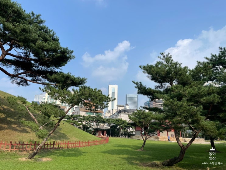  [브이로그]동이 부부의 추석연휴 첫 날 강남 나들이