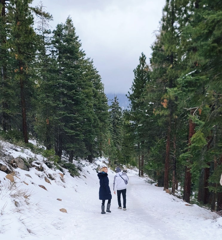  [Tahoe] 걸어서 네바다에서 캘리포니아 가기! 레이크 타호 Crystal Bay Scenic Overlook