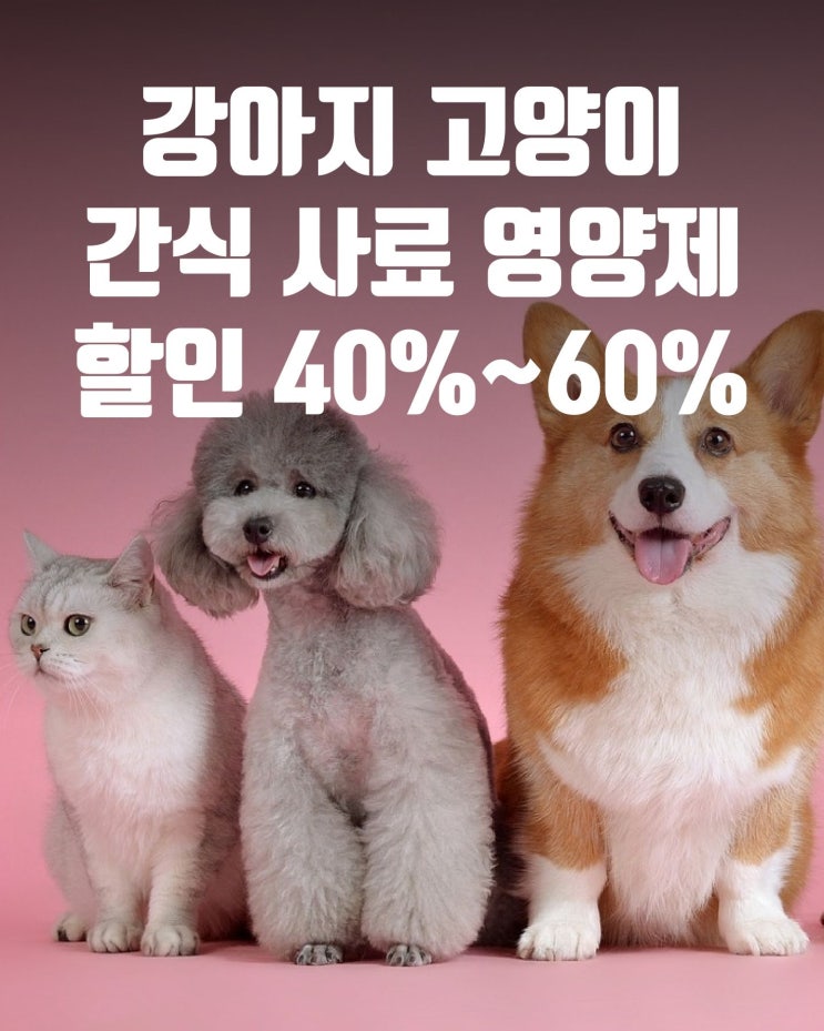 강아지 고양이 사료, 간식, 영양제 할인 40%~ 60%