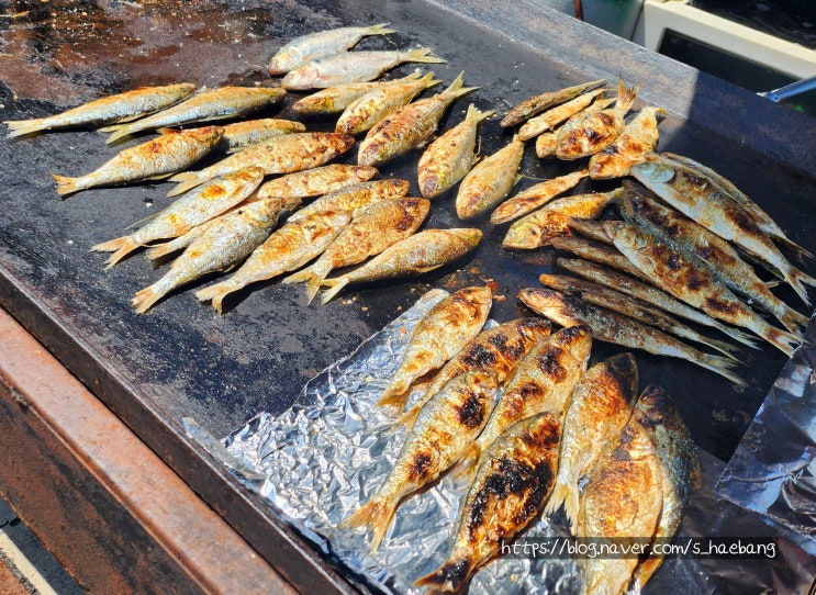  사천시 삼천포항 자연산 전어축제 방문 후기 : 물회 맛집 제주할망횟집