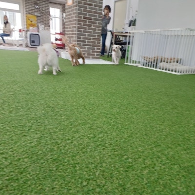 사진 2