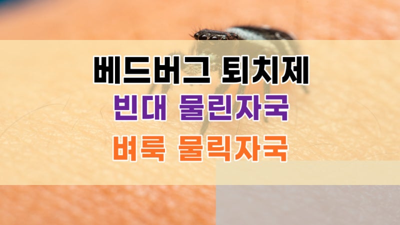 천연 베드버그 퇴치제 (계피 오일) / 베드버그 빈대 물린자국 / 벼룩 물린자국 / 배드버그 퇴....