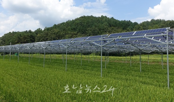  전남도, 농지 상부에 영농형 태양광 발전사업 본격 확대