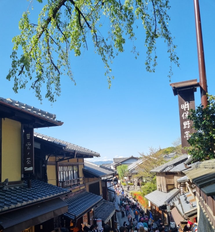  [3박4일 오사카/교토 가족여행] 3일차 일본의 전통과 맛이 있는 식도락여행 산넨자카, 청수사