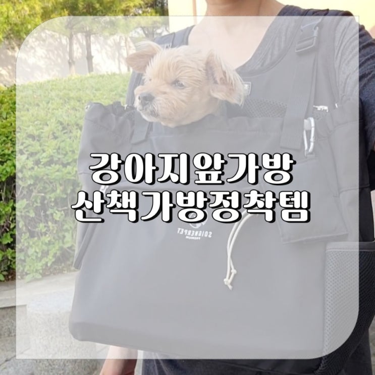  강아지 어부바 앞가방 스와니펫 라임백 노견 포대기 산책가방 추천