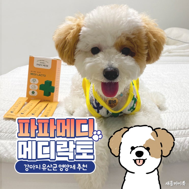  반려견 변비 설사에는 강아지 유산균 파파메디 메디락토 후기