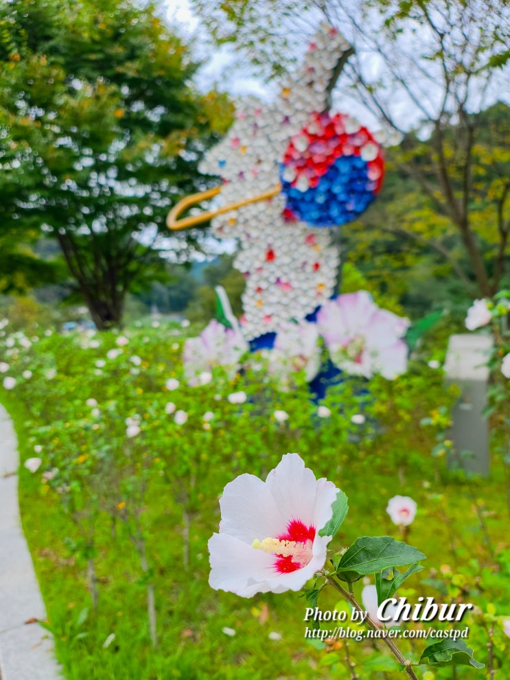  강원도 여행 홍천 여행지 추천 코스 무궁화수목원