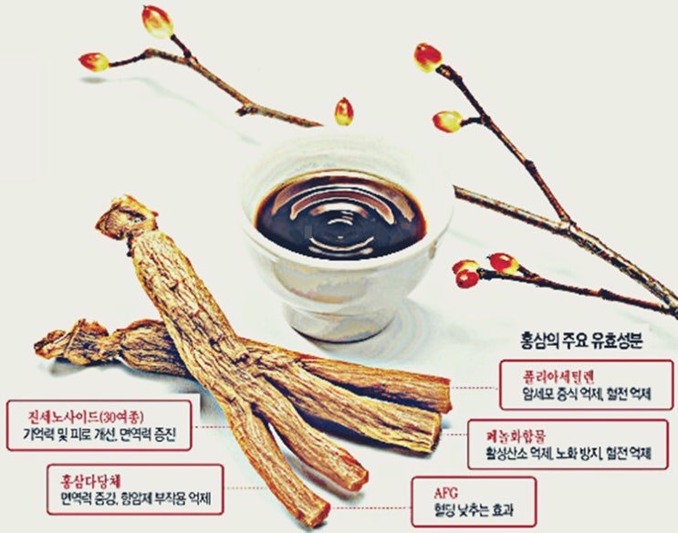  홍삼에 대해 자세히 알려드리겠습니다.