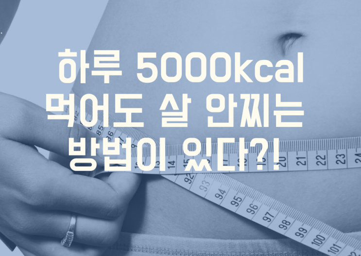  하루 5000kcal 먹어도 살 안찌는 방법이 있다?!