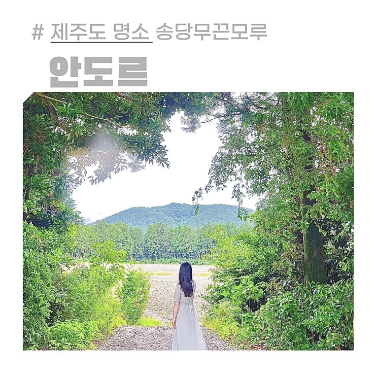 제주 송당무끈모루 숲 안도르 카페 위치 주차 제주도 가볼만한곳 제주 송당무끈모루 숲 안도르 카페 위치 주차 제주도 가볼만한곳