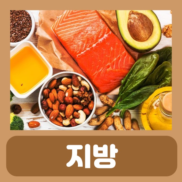  불포화지방산 음식 포화지방산 음식 : 몸에 좋은 지방 나쁜 지방