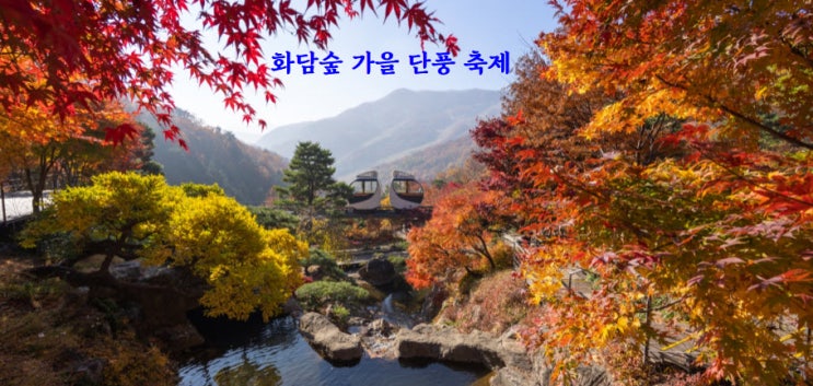 화담숲 가을 단풍 축제 (23.10.20~23.11.12)