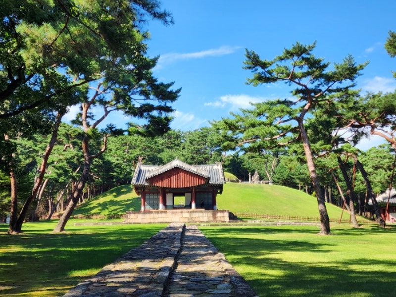 서울 태강릉. 문정왕후 태릉, 명종°인순왕후 강릉 숲길 개방. 입장료 주차 정보 대중교통편 : 네이버 블로그