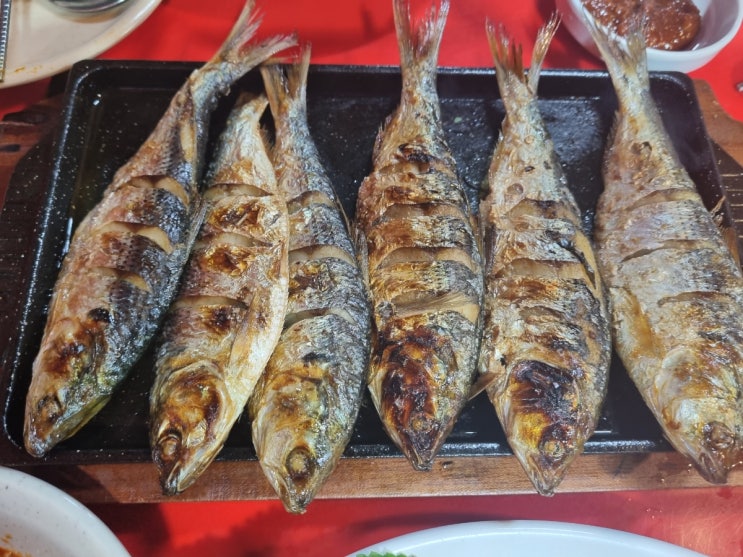  [서울 성동구] 먹거리장터2 : 왕십리역 실내포차 (전어회, 생새우회 맛집)
