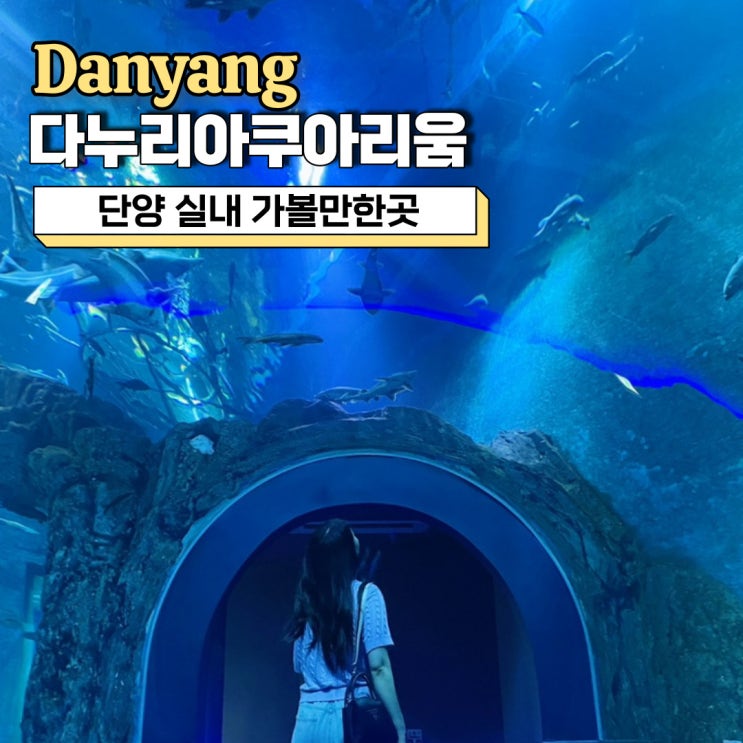  단양 가볼만한곳, 비 올 때 가기 좋은 실내 관광지 다누리아쿠아리움 할인 및 주차정보