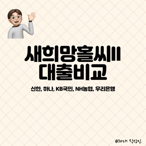  새희망홀씨II 상품 은행별 비교 (신한, 하나, KB국민, NH농협, 우리)