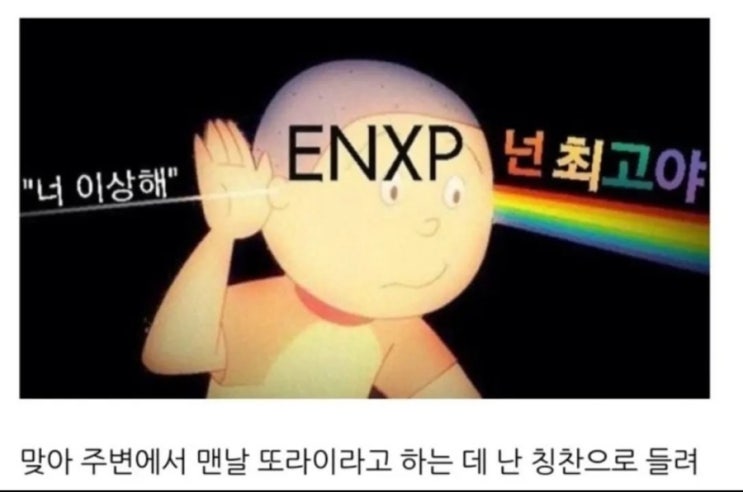 나란 여자 마이웨이 Entp 여자 특징(+엔팁짤,엔팁밈)