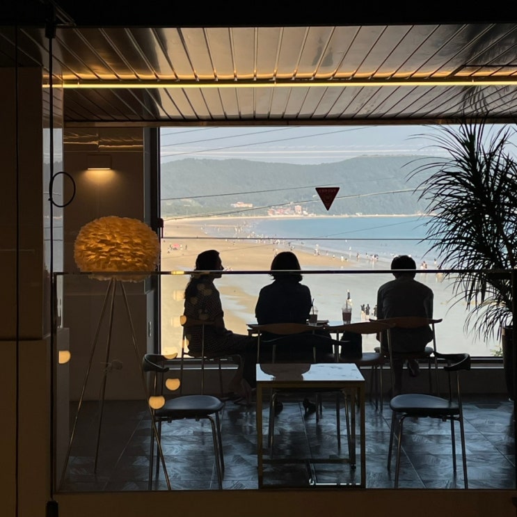  완도 바다가 보이는 완도 신지 명사십리 해수욕장 카페 | 올라코스타 HOLA COSTA