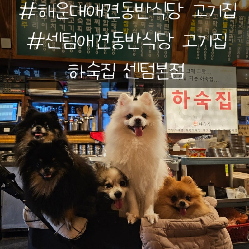 부산애견동반식당 해운대애견동반식당 벡스코고기집 하숙집 센텀본점 주차정보