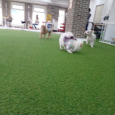 사진 3