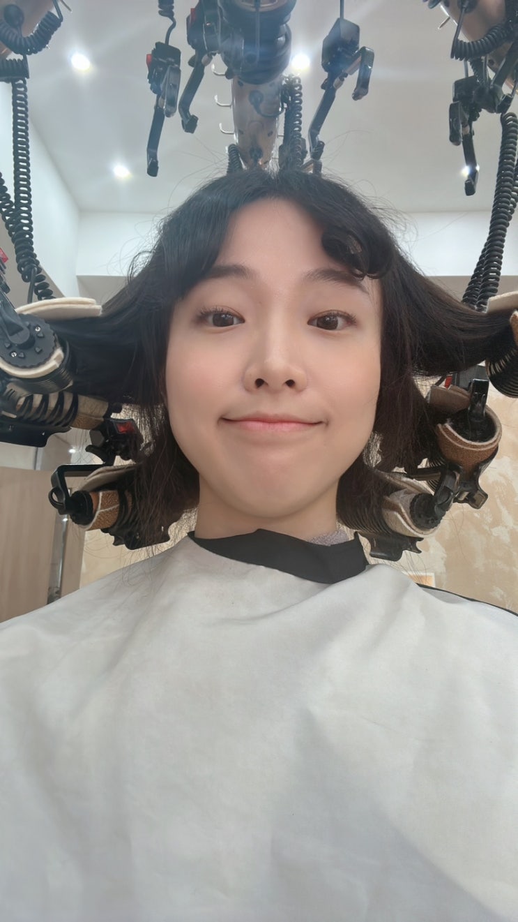  지혜 머리하는 날
