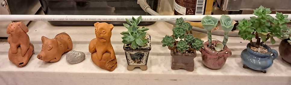 팔공티 배곧신도시점 사진 6